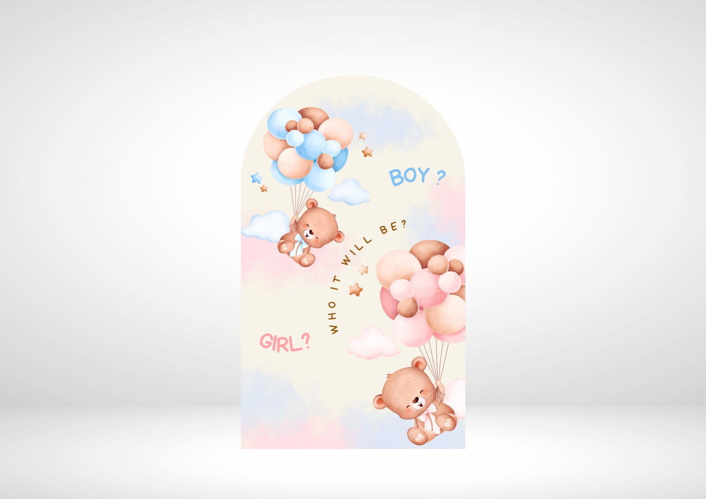 Gender Reveal Balloon Party Backdrop