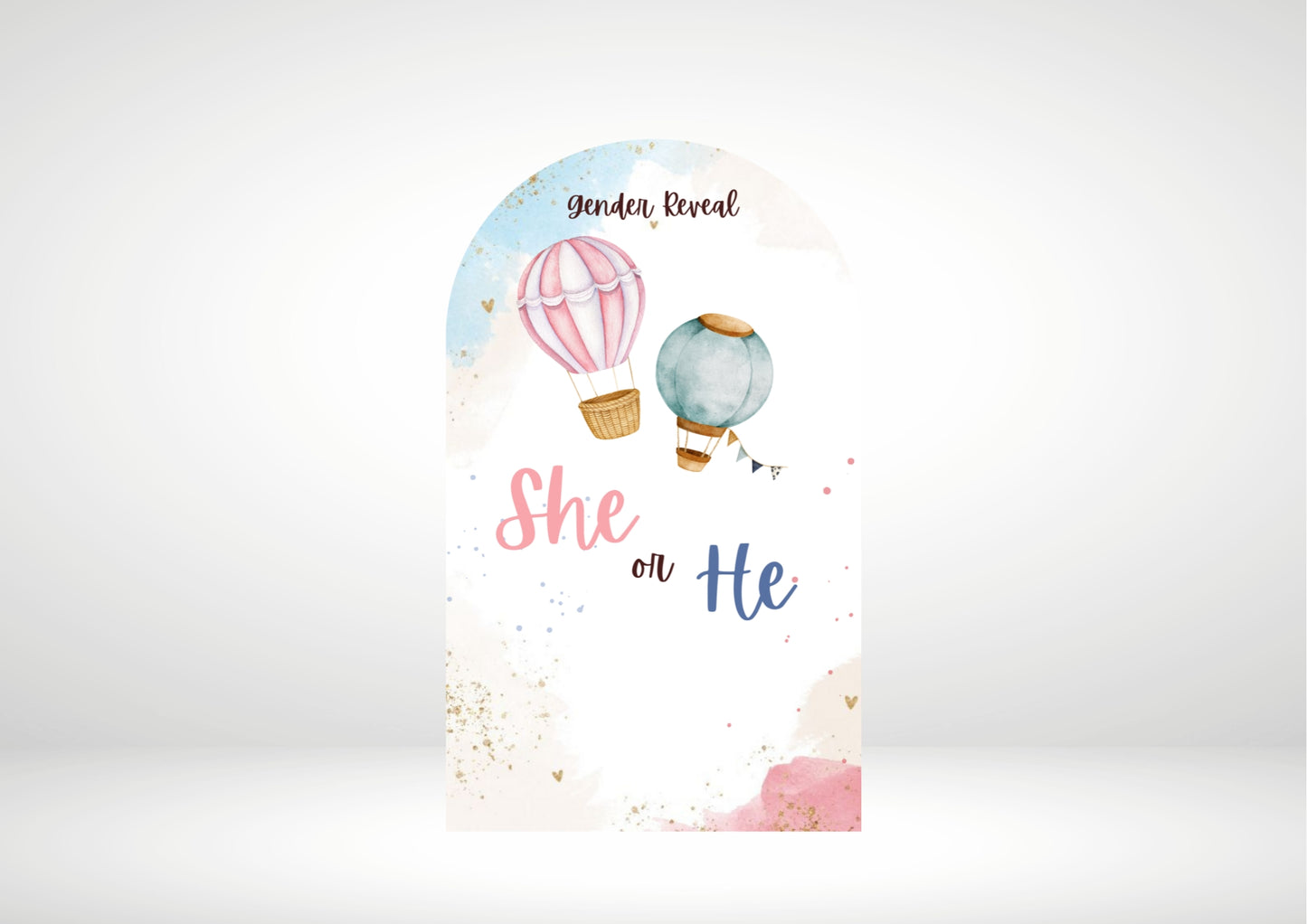 Gender Reveal Hot Air Balloons Party Backdrop