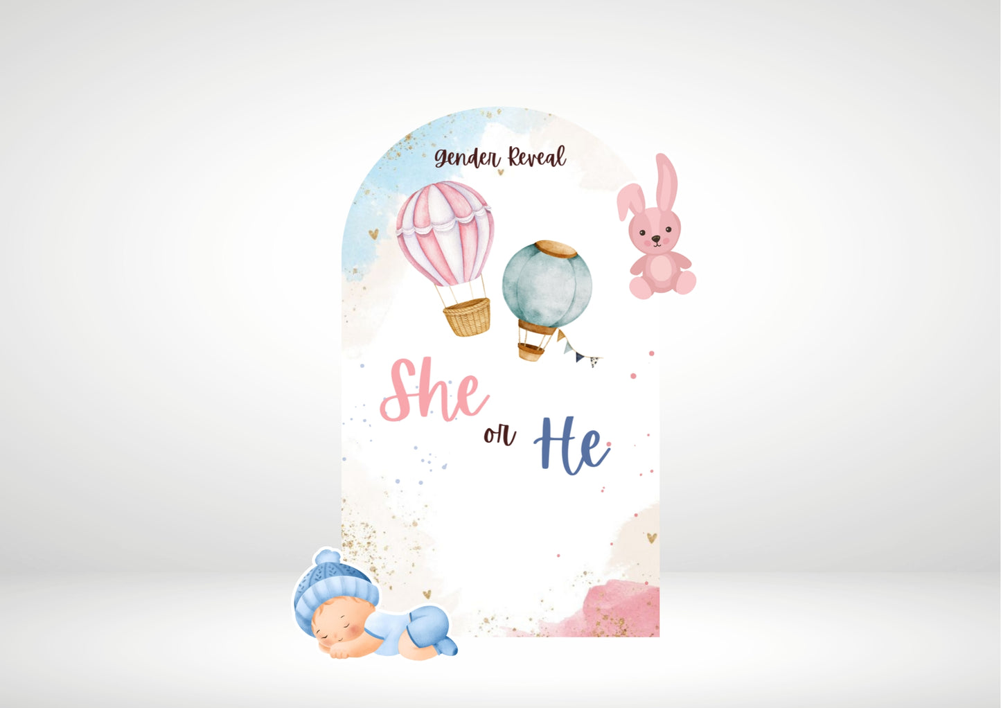 Gender Reveal Hot Air Balloons Party Backdrop